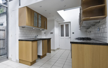 Clotton Common kitchen extension leads